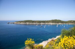 Isola d'Elba